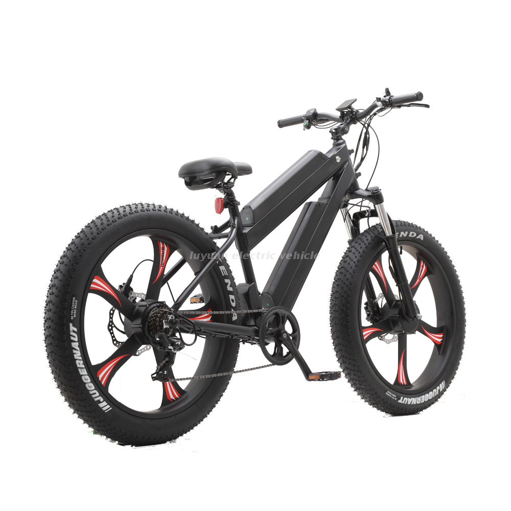 Elektrofahrrad EM 02WD