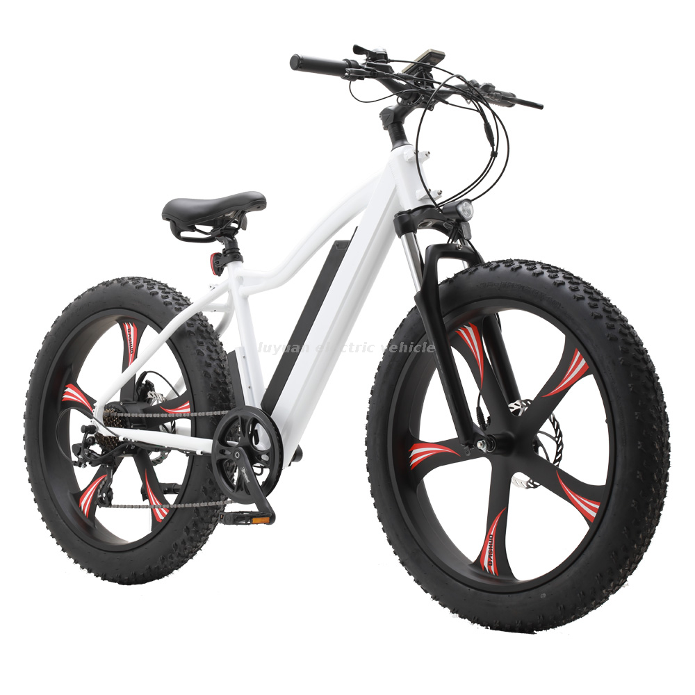 Ebicycle 32 km/h Neue geförderte Elektrofahrräder