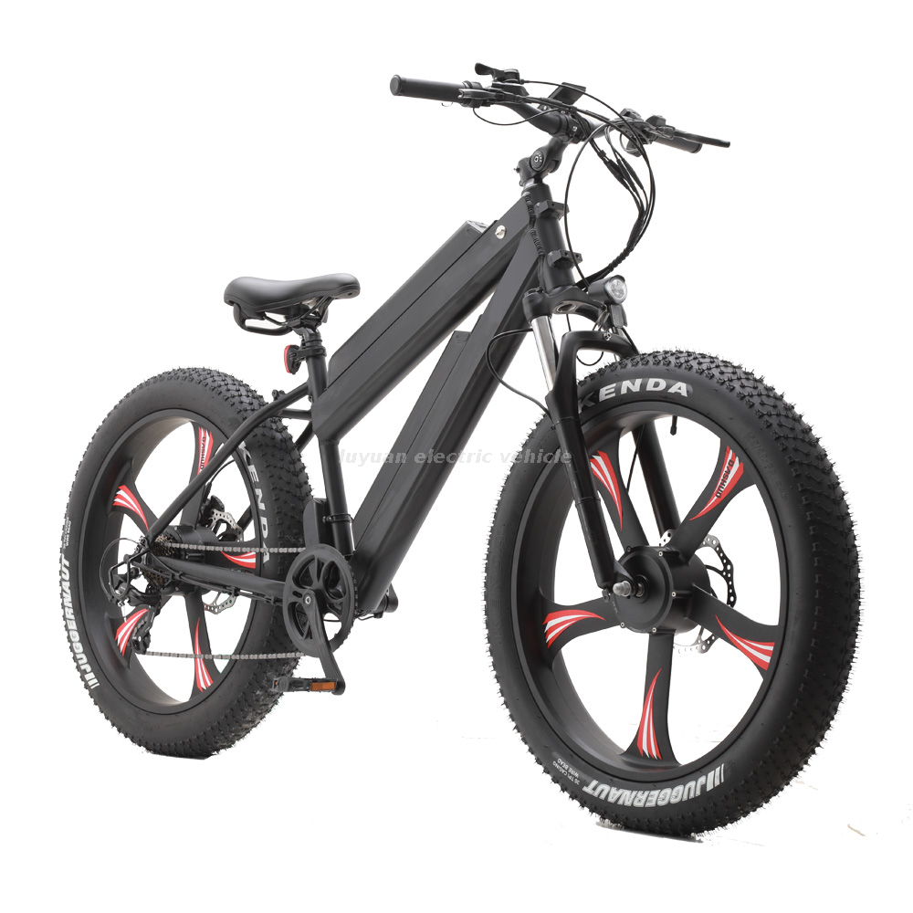Elektrofahrrad EM 02WD